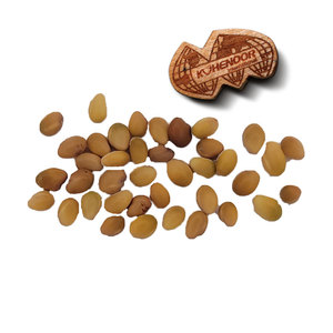 Berseem Clover | Corte limpio y fino para un fácil manejo - Product Image 5