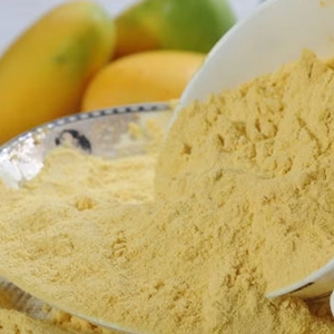 ผงมะม่วงเขตร้อนจากเวียดนาม สำหรับแบรนด์เครื่องดื่มและผู้นำเข้าวัตถุดิบ - Product Image 1
