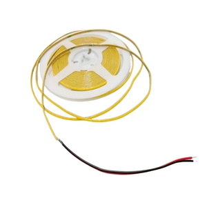 <span class=keywords><strong>RGB</strong></span> LED COB 24V dải đèn cho trang trí tùy chỉnh led neon ánh sáng đơn sắc COB LED dải ánh sáng cho kỳ nghỉ trang trí - Product Image 6