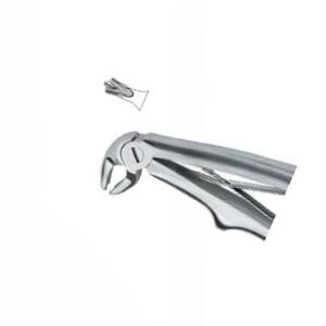 Forceps d'extraction de dents dentaires Fig.6 Produits de logo personnalisé de haute qualité Instruments dentaires en acier inoxydable - Product Image 3