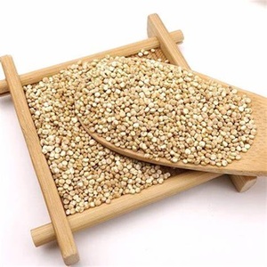 Semillas de Colza (Grano de Colza) de Grado Industrial para la Producción de Goma Guar de Alta Calidad a Precios Moderados - Product Image 5