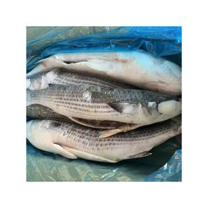 Mullet congelado WR, suministro al por mayor, precio económico, pescado de primera calidad - Product Image 3