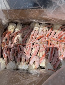 กุ้งแดงแช่แข็งจำนวนมาก พร้อมจัดส่งทั่วโลกและสำหรับการค้าเชิงพาณิชย์ - Product Image 3