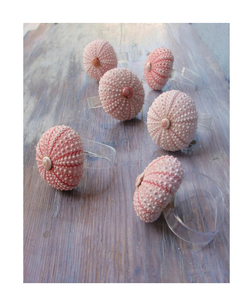 Servilleteros de concha marina para suministros de Hotel restaurante venta al por mayor accesorios de decoración costera solución de presentación de mesa única - Product Image 1