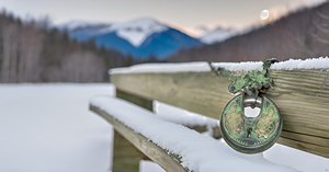 Fully Functional Antiqued Brass Door Padlock Handmade Turtle <b>Lock</b> Style with Unique Stainless Steel Keys Providing Security - Product Image 2
