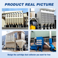 Sistema de Filtro de Cartuchos Industrial con Limpieza por Pulsos para Filtración de Polvo Fino Personalizado