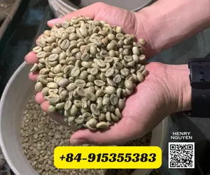 ベトナム高品質ロブスタアラビカグリーンコーヒー豆SCR13 16 18- WS: + 84-915355383