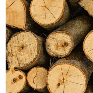 Bûches de bois bon marché, bûches de bois de pin et bûches de bois à vendre - Product Image 5