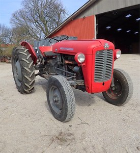 รถแทรกเตอร์ดีเซลแท้ Massey Ferguson MF 35 ปี 1958 ใหม่และมือสอง สำหรับฟาร์มขนาดเล็ก สวนผลไม้ และงานสวน - Product Image 4