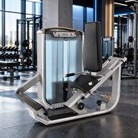 BN Appareil Commercial de Musculation des Mollets Assis, Machine d'Entraînement des Gastrocnèmiens et des Soleus, Équipement de Gym pour les Jambes, Fabricant