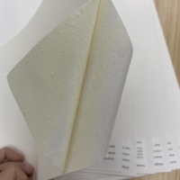 Carton blanc de l'Amérique Bristol/papier ivoire de panneau de carte de FBB/C1S dans la feuille/petit pain