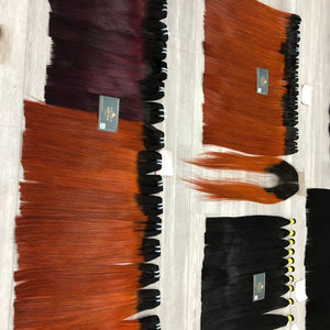 PRODUIT CHAUD Cheveux de trame de machine Diverses couleurs Cheveux humains vietnamiens Extensions de cheveux de haute qualité - Product Image 3