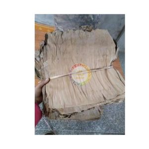 VENTA DE HOJAS DE PLÁTANO SECAS A PRECIO MÁS BARATO ENTREGA RÁPIDA HOJAS DE PLÁTANO SECAS AL POR MAYOR - Product Image 4