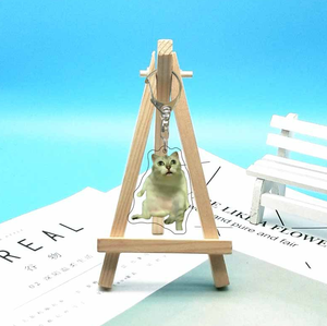 Llavero Acrílico Moderno Personalizable de Dibujos Animados, Doble Cara, Transparente, Bonito Adorno para Bolsos, Ecológico, con Diseños de Gatos, Perros, Reptiles y Aves - Product Image 5