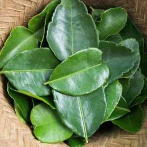HOJAS DE PLÁTANO Y LIMÓN CONGELADAS AL POR MAYOR PERFECTAS PARA COCINAR SALUDABLE Y PRESENTACIÓN DE ALIMENTOS - Product Image 6