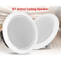 Haut-parleurs de plafond commerciaux de musique de haute fidélité amplificateur à piles étanche sensibilité 89db