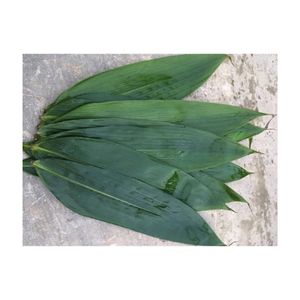 ใบไผ่ย่อยสลายได้จากเวียดนามวัตถุดิบแห้งสำหรับห่อเค้กพร้อมส่งออก - Product Image 2