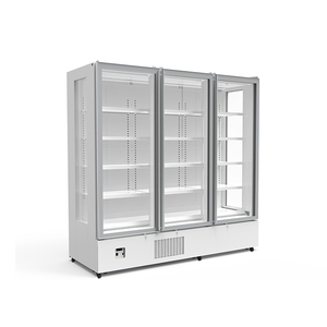 Refrigerador Comercial Vertical de Alta Calidad, Refrigerador Vertical para Restaurantes, Congelador de Almacenamiento en Frío - Product Image 6