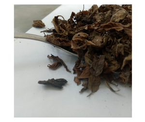 Feuilles de gelée d'herbe noire de qualité supérieure Vietnam - Herbal Grass Jelly à vendre, bas prix, haute qualité, approvisionnement en vrac pour l'exportation - Product Image 1