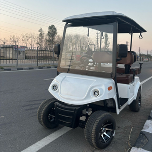 Every Ride4 Seater Golf Cart Electric Golf Cart Premium Golf <b>Buggy</b> - Product Image 3