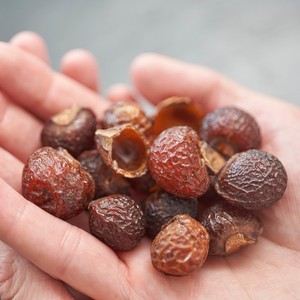 Best Quality Natural Dried Soap Nuts Cleaning Laundry Soapnut Cheapest Price <b>Soapberries</b> for Sale - Product Image 1