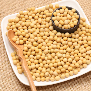 Semillas de Soja Orgánicas Secas Altamente Nutritivas y con Alto Contenido de Proteínas, Grado Uno - Product Image 4