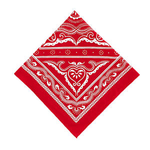 Wholesale Adults Hip Hop Style Breathable Cotton <b>Bandana</b> Slippers with Paisley Flower Design Black Color - Product Image 1