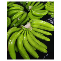 Plátano Cavendish verde fresco con exportación estándar del proveedor de Vietnam al mejor precio-Caryln 0084935825297