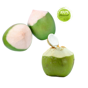 Cáscara de coco pelada con diamante fresco apoya el bienestar mental - Product Image 6