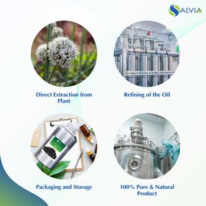 Aceite de semilla de cebolla 100% puro y natural al por mayor a granel precio más bajo embalaje personalizado - Product Image 4