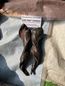 Par de Cuernos de Cabra Naturales con Acabado Natural para Decoración y Manualidades de Alta Calidad - Product Image 2