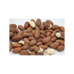 Chất lượng tốt khỏe mạnh Cola Nut đắng <span class=keywords><strong>kola</strong></span> Nut cho xuất khẩu - Product Image 2