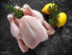 Meilleures ventes : Poulet entier halal séché et congelé de qualité supérieure, 100 % naturel, non-OGM, caféiné, 25 kg, en gros, usine Belgique - Product Image 2