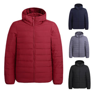 Blouson d'hiver matelassé léger pour homme, personnalisé, de haute qualité, imperméable, chaud, décontracté, en duvet de canard, livraison DDP - Product Image 1