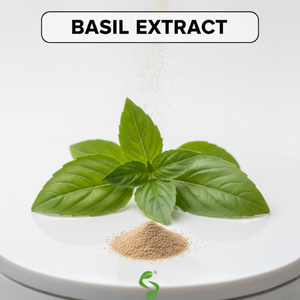 Extracto Seco de Tulsi de Grado Estándar para Cadenas de Suministro de Ingredientes Botánicos, Cuidado Personal y Ayurveda - Product Image 1