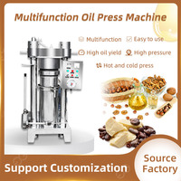 Machine de pressage de beurre de cacao à froid hydraulique continu 1T/D