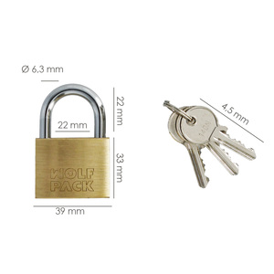 Lucchetto in Ottone ad Arco Normale con Chiavi Uguali 40 mm N. 1 Resistente per Impieghi Gravosi - Product Image 2