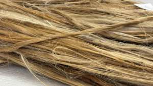 Fibra de Yucca Natural, Cuerda Ecológica Cruda para Fabricación de Cepillos, Suministro al por Mayor para Exportación - Product Image 5