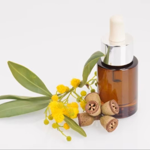 Huile d'eucalyptus en vrac à vendre - Product Image 1