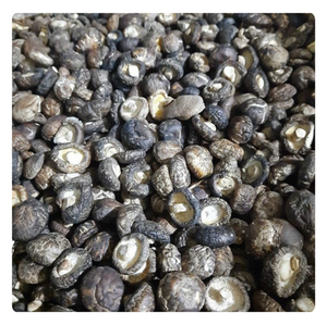 Setas shiitake vietnamitas de alta calidad: perfectas para delicias culinarias - Product Image 4