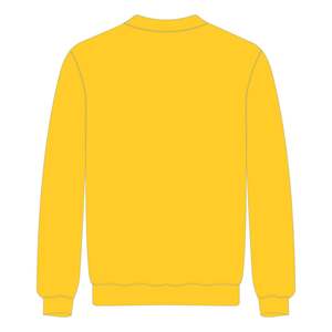 HBCU éduqué or sweat à col rond Chenille broderie sororité grecque Divine neuf vêtements Logo personnalisé pull de mode - Product Image 3