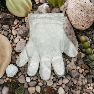 Gants de protection jetables en polyéthylène HDPE Greenworld en gros, certifiés CE, ultra-fins, personnalisables, pour usage estival - Product Image 3