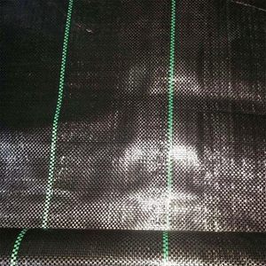 <span class=keywords><strong>Traitement</strong></span> UV Agriculture Tissu de jardin tissé tapis <span class=keywords><strong>anti</strong></span>-mauvaises herbes contrôle des mauvaises herbes tissu de paysage de couverture du sol - Product Image 2
