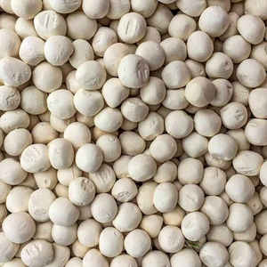 Semillas de Algodón Orgánico - Grado Alimenticio para Animales, 2 Años de Vida Útil, Buen Precio, Producto Agrícola - Product Image 1