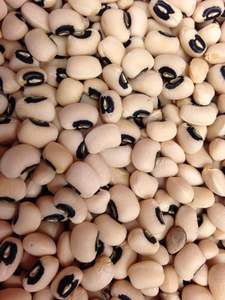 Frijoles rojos orgánicos para conservas, venta al por mayor, alimentos envasados, procesamiento seco - Product Image 2