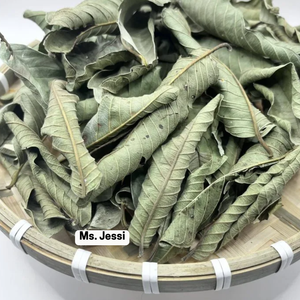 Feuilles de goyave séchées d'origine vietnamienne, tisane pour le soutien de la glycémie - Product Image 1