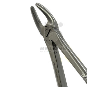 Fórceps de extracción Dental de alta calidad, extracción de dientes anteriores, fórceps de extracción Dental Anterior profesional de acero inoxidable - Product Image 3