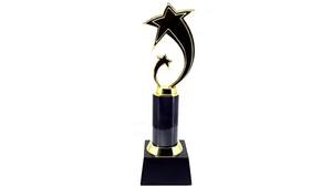 ถ้วยโลหะส่องแสงรูปดาวสำหรับความเป็นเลิศของพนักงานหรือความเป็นผู้นำที่มีอยู่ทั่วโลก - Product Image 2