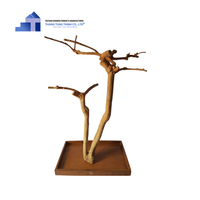 Vente chaude Naturel Java Arbre Perche Café Bois pour Oiseau Jouets De Vietnamien Usine En Gros
