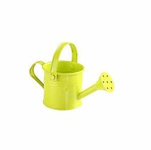 Bidon d'eau en métal élégant pour enfants Design agréable pour jardinière de jardin extérieure - Product Image 5